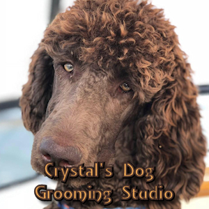 Crystal's Dog Grooming Studio