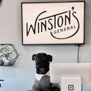 Winston’s General